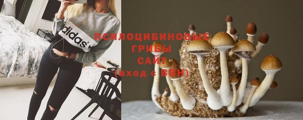 молекула духа Абдулино