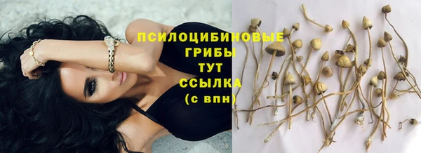 молекула духа Абдулино