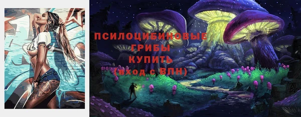 спиды Алексин