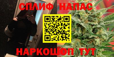 шишки Гатчина