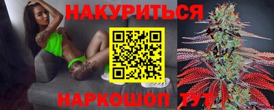 шишки Гатчина