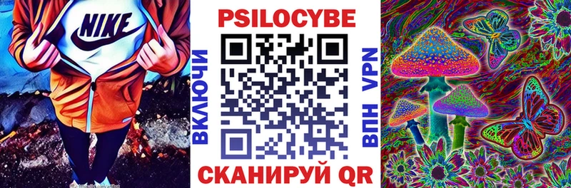 Галлюциногенные грибы Psilocybine cubensis  Магадан 