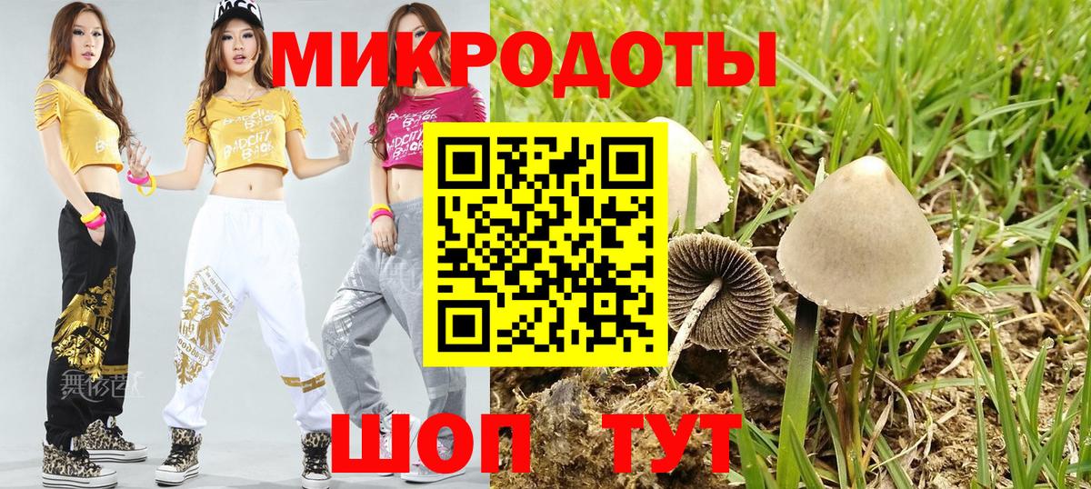 Галлюциногенные грибы Magic Shrooms Магадан