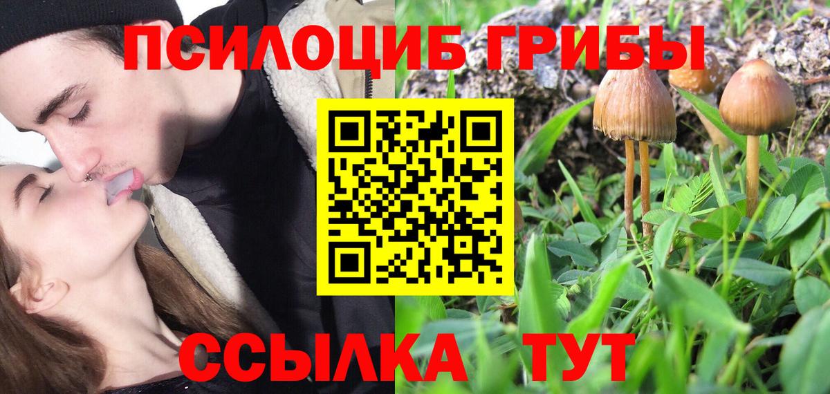 Псилоцибиновые грибы мухоморы  Галлюциногенные грибы Cubensis  Магадан  Вход с VPN 